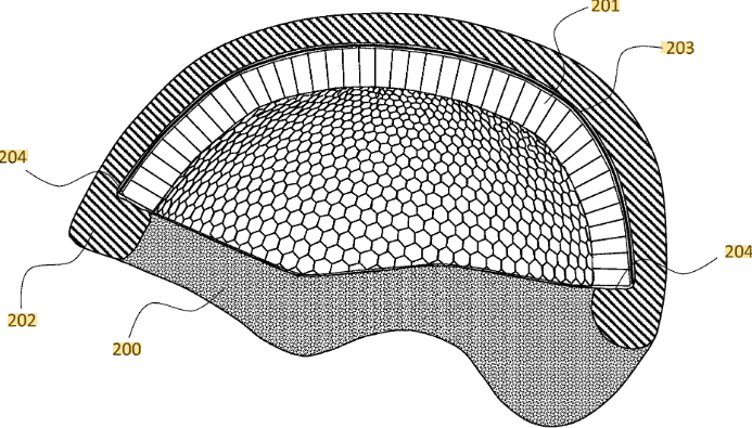 Image from US10834987B1